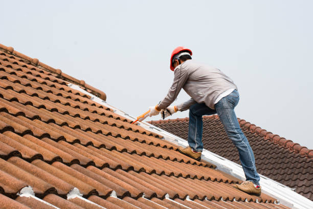 Best Roof Moss and Algae Removal  in , ID